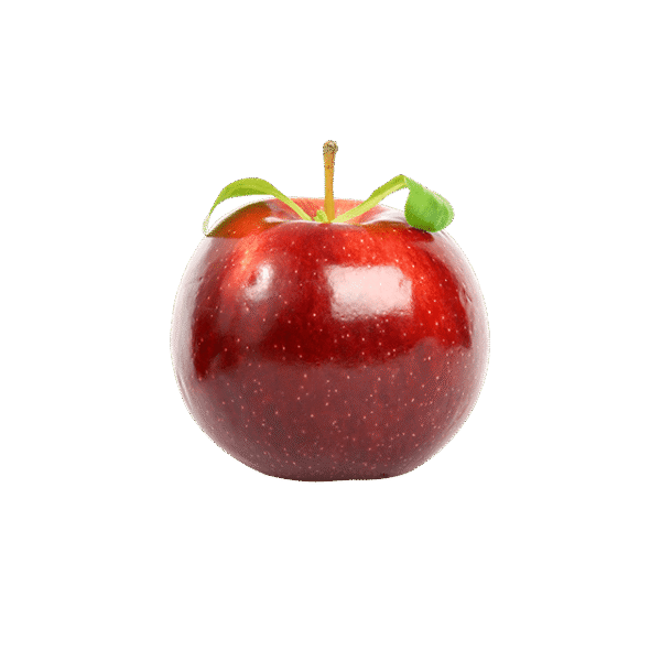 Branch Apple – Image 2
